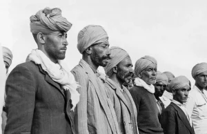 La représentation des Harkis : s’unir ou disparaître