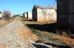 A la recherche des morts disparus au camp de Rivesaltes