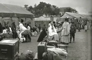 Veuves : La commission des finances vote l’amendement AJIR !