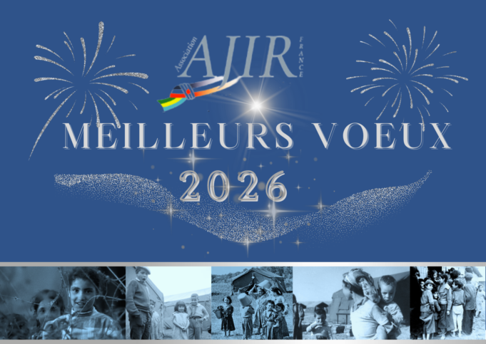 Carte Vœux Fête 2025 Bleu Blanc Doré (9)